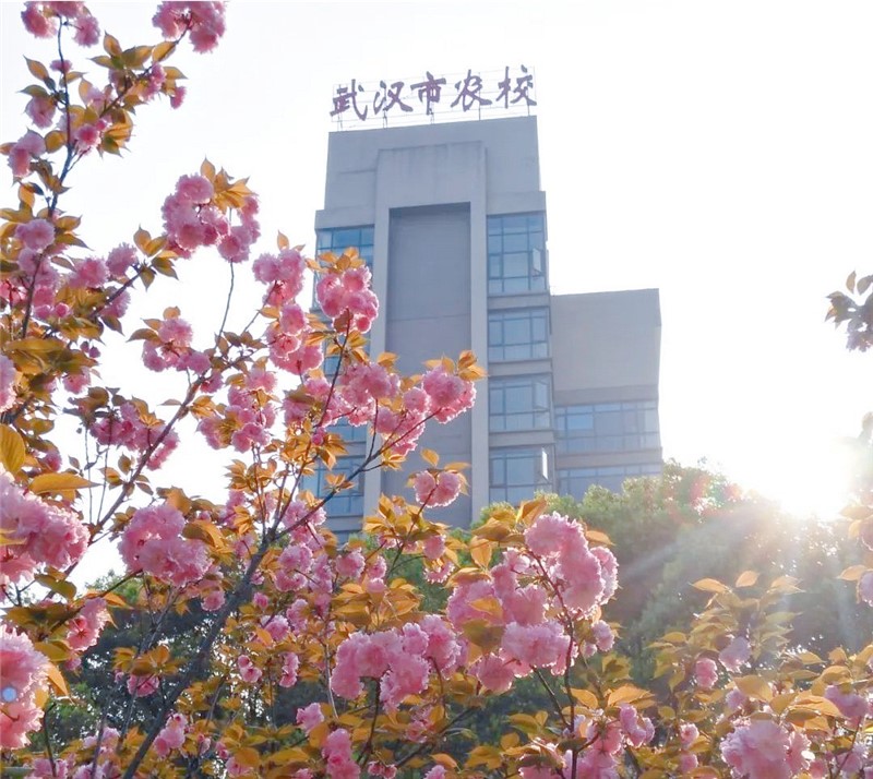 26.武汉现代农业教育中心校园.jpg